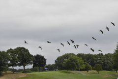 NEPVA_Golf_26__24